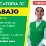Ofertas de Trabajo en MiBanco: Empresa líder de microfinanzas y préstamos